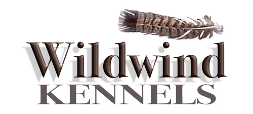 Wildwind