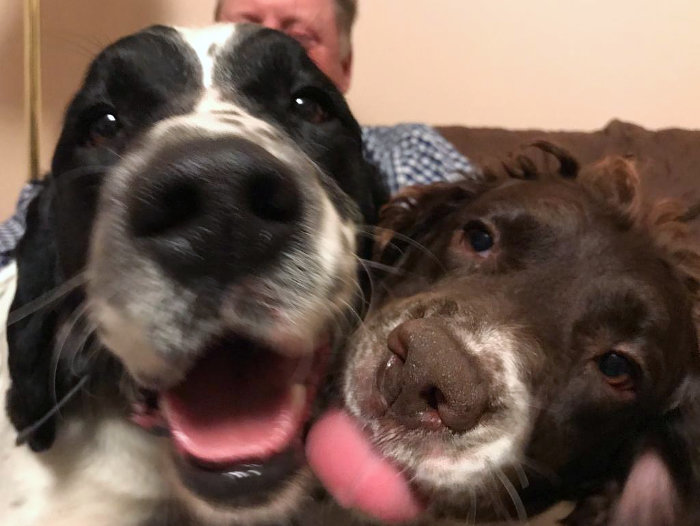 Ollie and Juneau