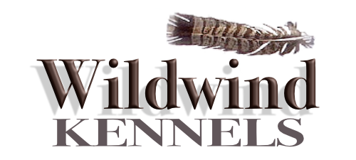 Wildwind